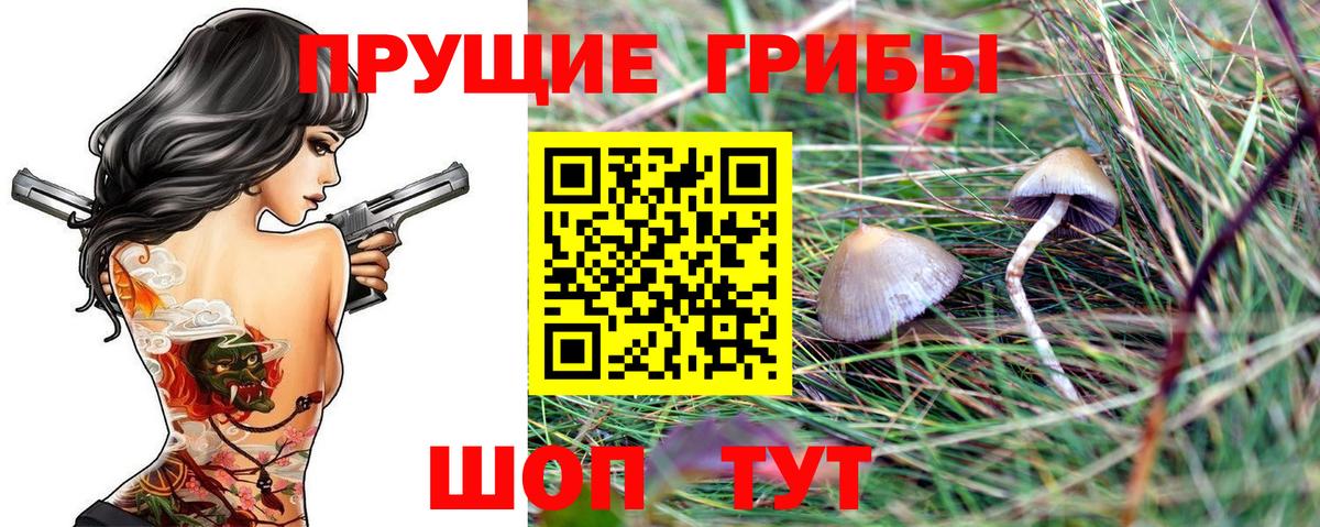 наркота  Вход с VPN  Евпатория  Галлюциногенные грибы Psilocybine cubensis 