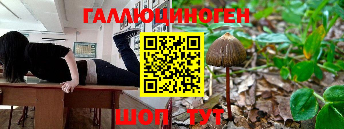 Псилоцибиновые грибы MAGIC MUSHROOMS Евпатория
